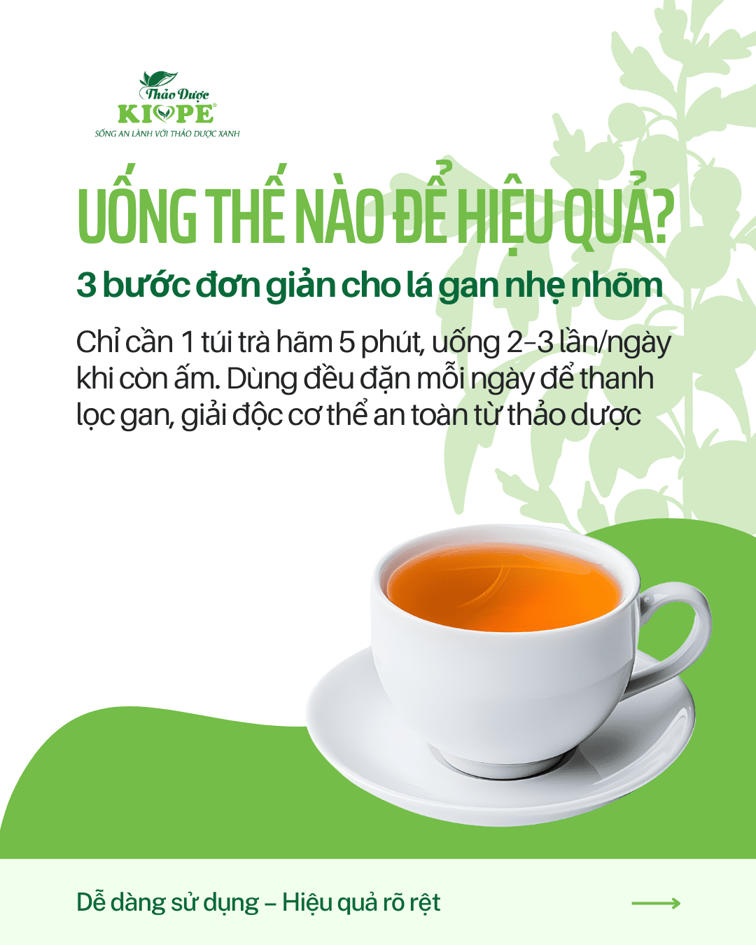 tra_tui_loc_thanh_can_duong_khi_kiope_cach_dung